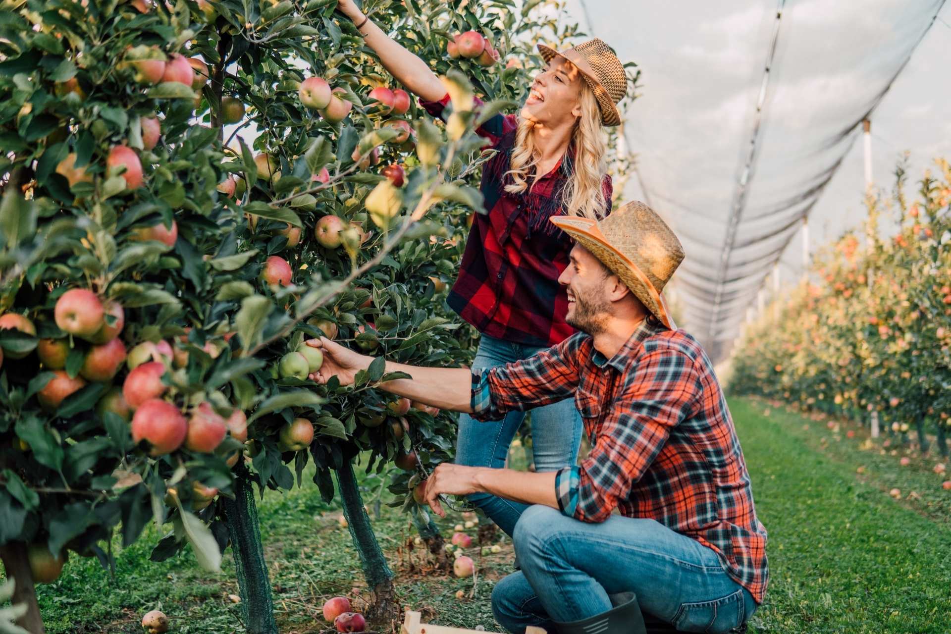 fun bonding activities for couples